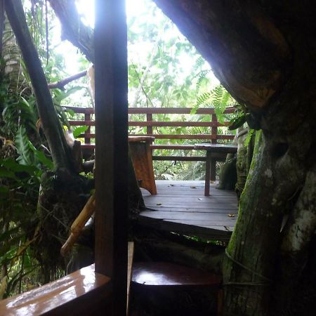 Topos Tree House Cahuita Exteriér fotografie