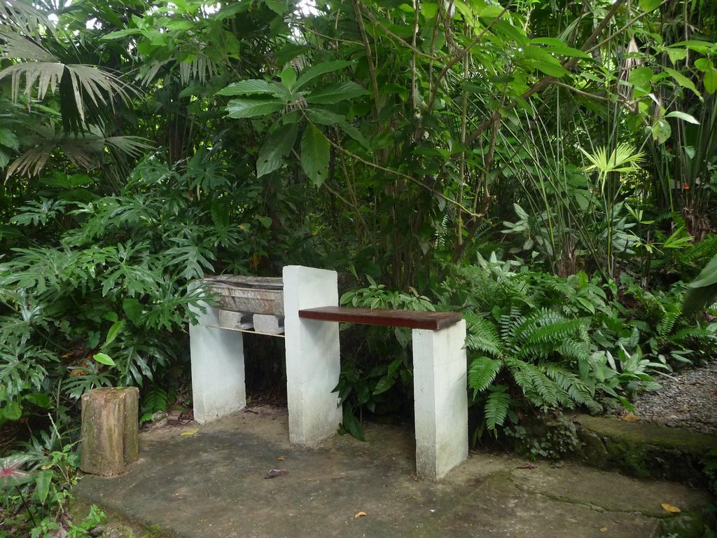 Topos Tree House Cahuita Exteriér fotografie