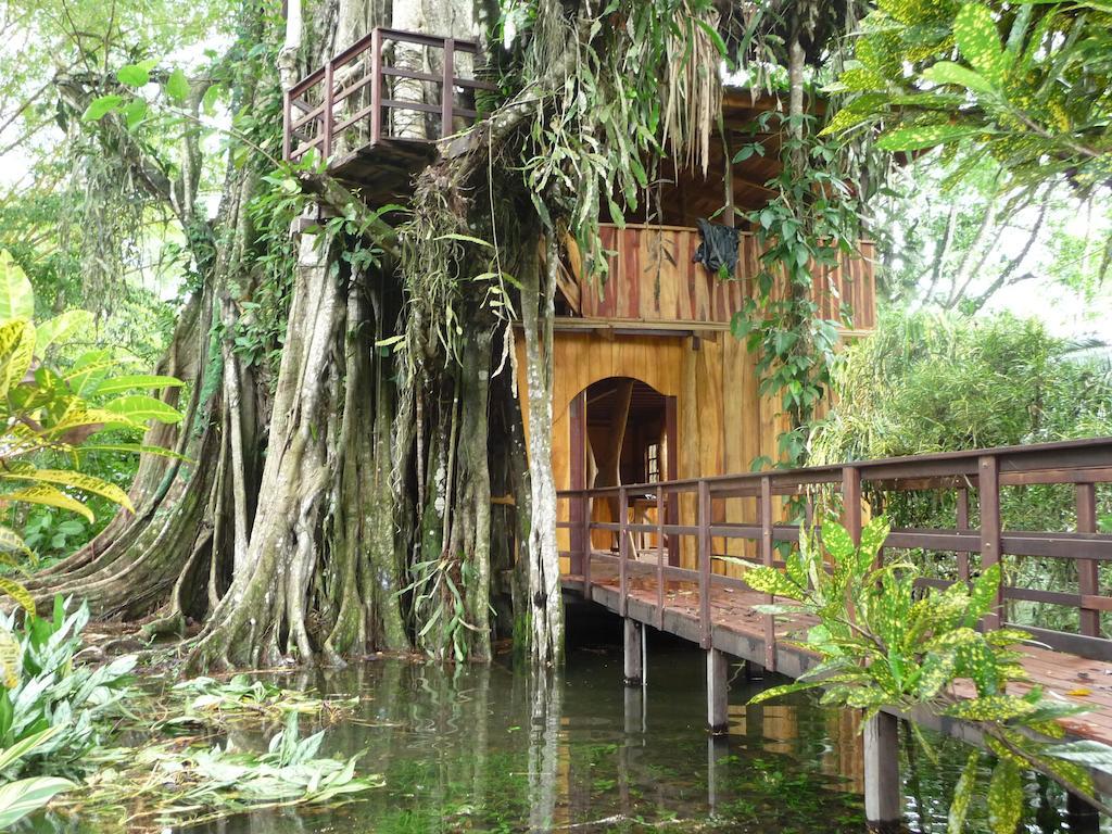 Topos Tree House Cahuita Exteriér fotografie