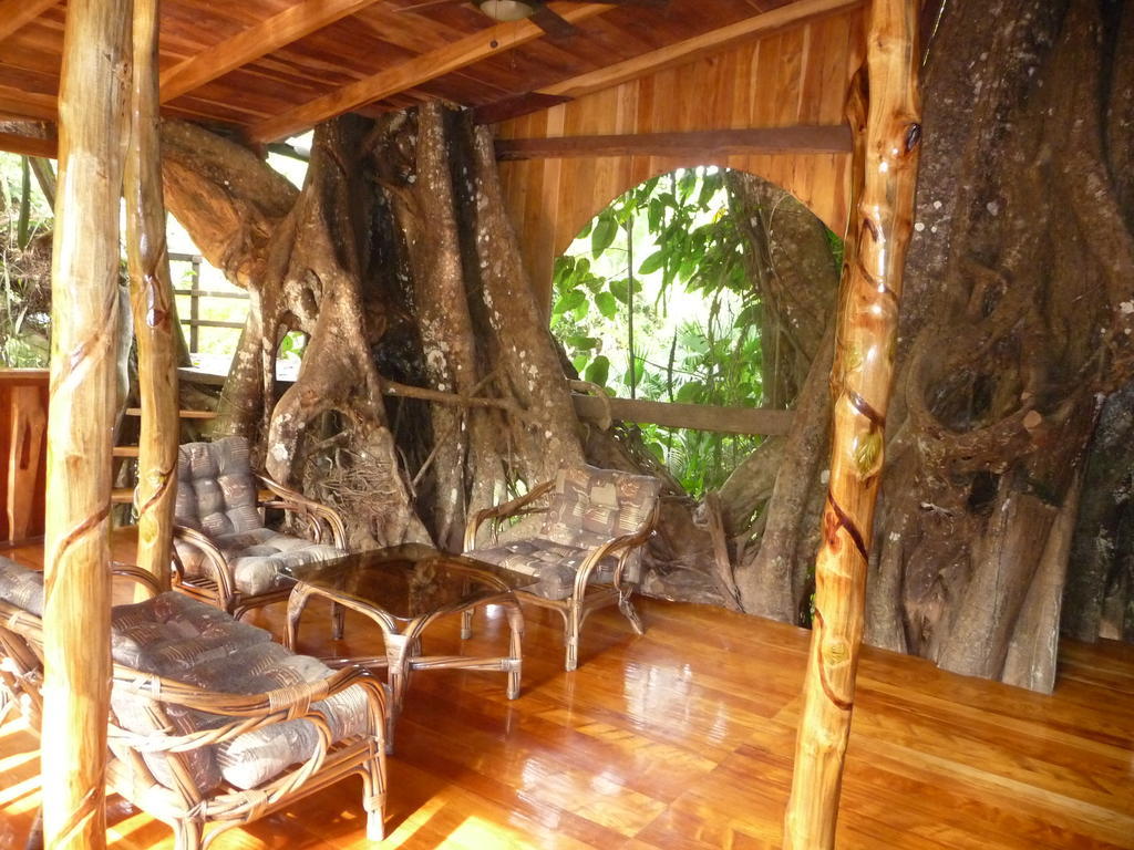 Topos Tree House Cahuita Exteriér fotografie