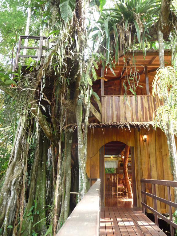 Topos Tree House Cahuita Pokoj fotografie