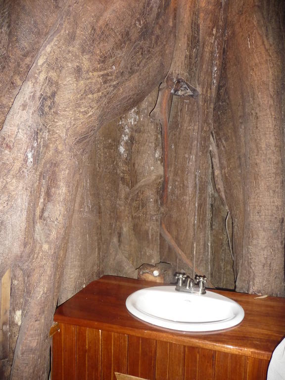 Topos Tree House Cahuita Exteriér fotografie