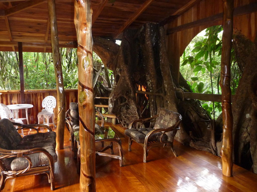 Topos Tree House Cahuita Exteriér fotografie