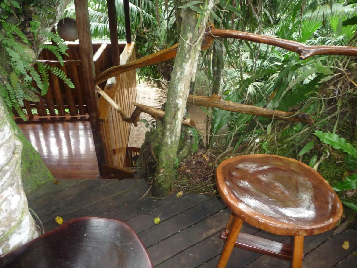 Topos Tree House Cahuita Exteriér fotografie