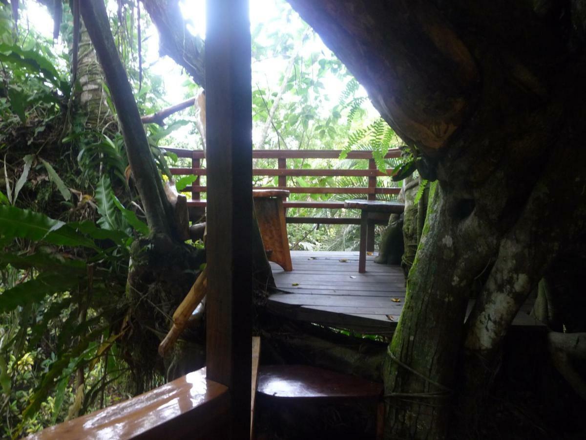Topos Tree House Cahuita Exteriér fotografie